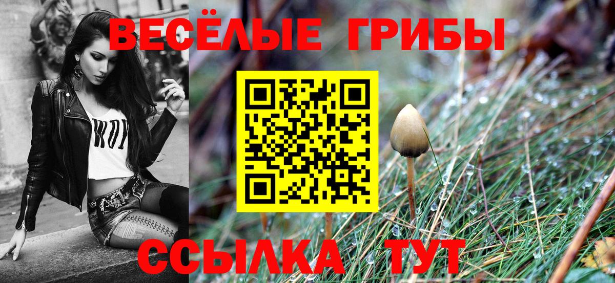 Псилоцибиновые грибы ЛСД Владикавказ