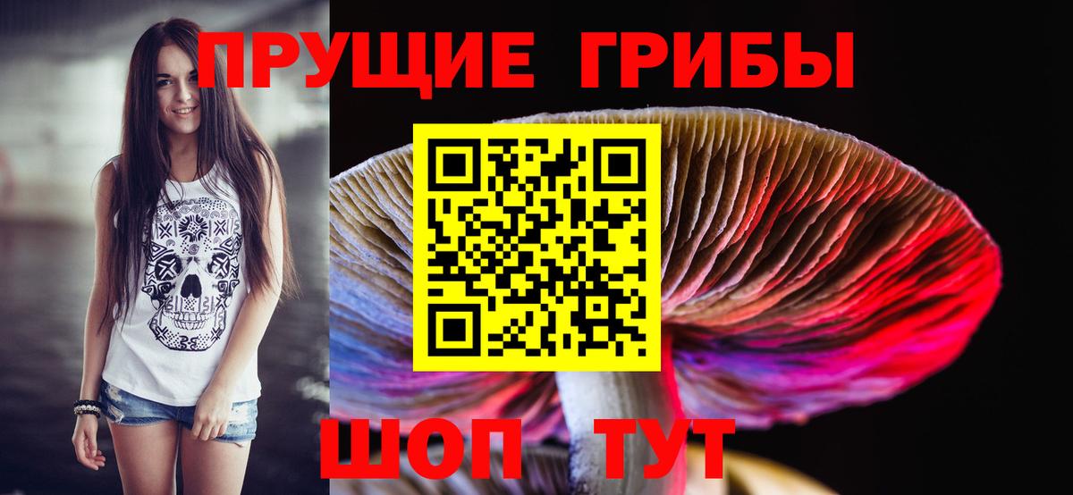 наркошоп  Галлюциногенные грибы прущие грибы  Вход с VPN  Владикавказ 