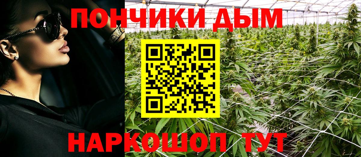 Владикавказ  Шишки марихуана сатива  Бошки марихуана сатива  Бошки марихуана Amnesia  Вход с VPN 
